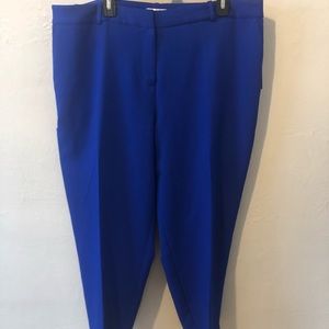 Tahari size 16 W cobalt blue pants NWT